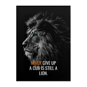 Lion Never Give Up Acrylic Print