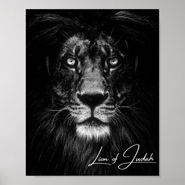 Lion of Judah - Christian Poster (Front)