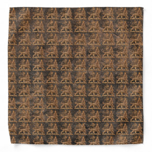 Lion of Judah Jah Rastafari Reggae Roots Bandana