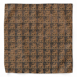 Lion of Judah Jah Rastafari Reggae Roots Bandana