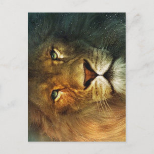 Lion of Judah - Lion - Rastafari - Postcard
