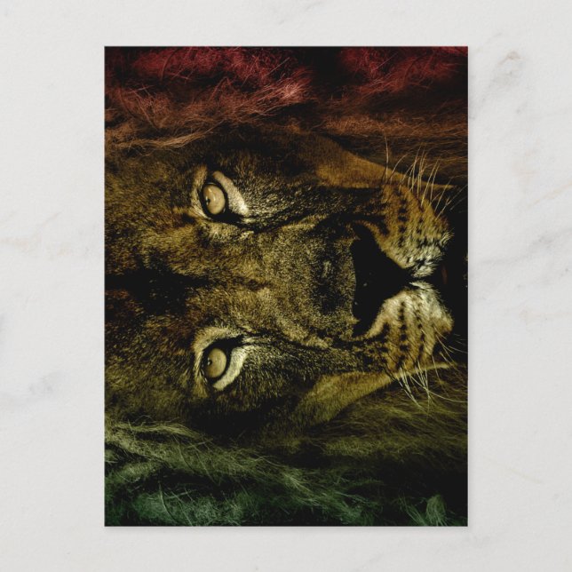 Lion of Judah - Lion - Rastafari - Postcard (Front)