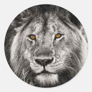 Lion of Judah - Rastafara - Jah Rastafari Sticker