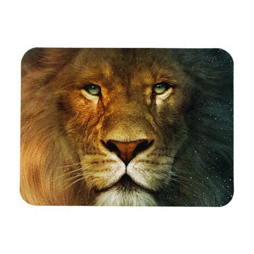 Lion of Judah _ Rastafara _ Reggae Rasta Magnet