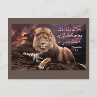 Lion of Judah Revelation 5:5  Postcard