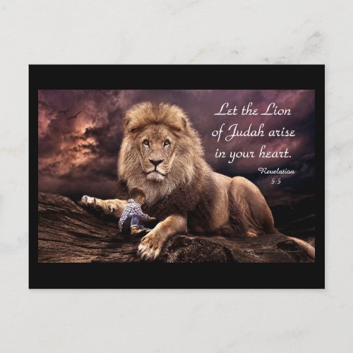 Lion of Judah Revelation 55  Postcard