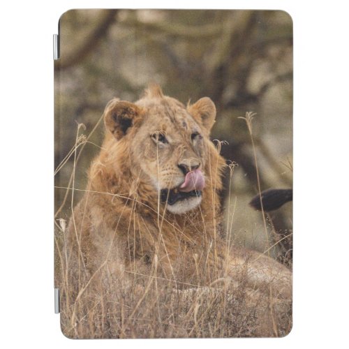 Lion of Nakuru iPad Air Cover