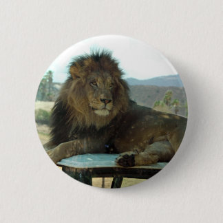 Lion on Car Button