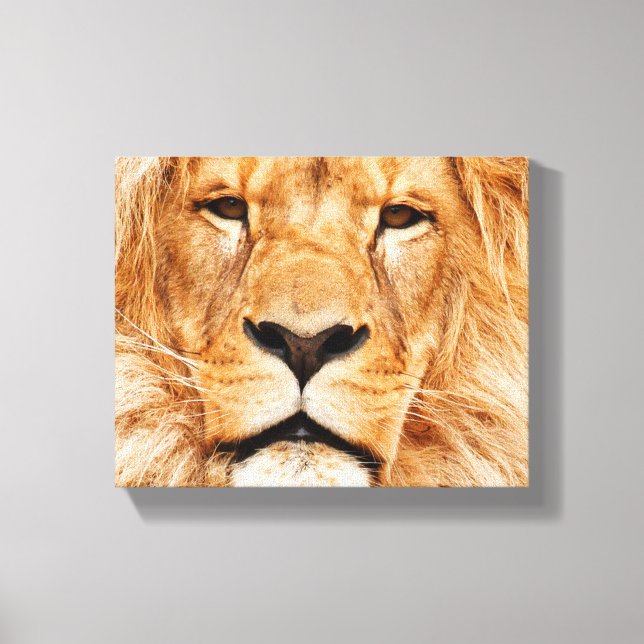 Lion on stretched canvas (Front)
