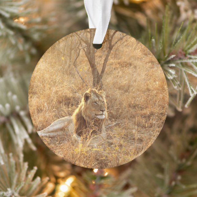 Lion Ornament (Tree)