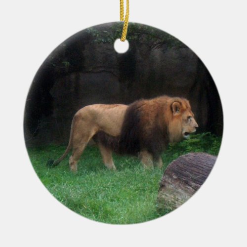 Lion Ornament  Endangered Species Series