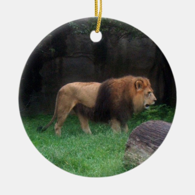 Lion Ornament ~ Endangered Species Series (Front)