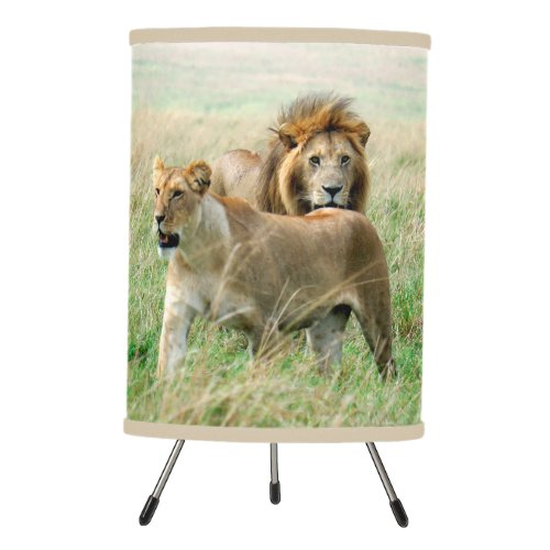 Lion Pair Lamp choose from 14 trim colors