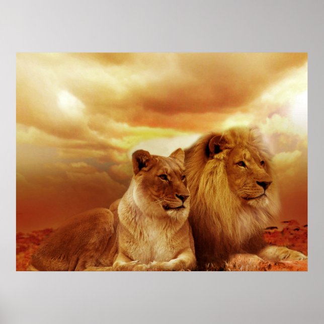 Lion Pair Posters (Front)