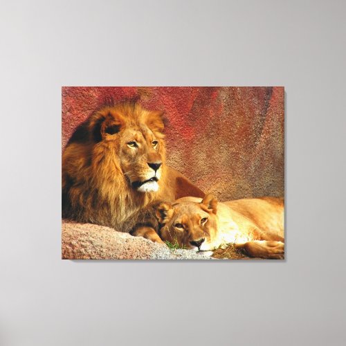 Lion Pair Resting Canvas Print