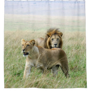 Lion Pair shower curtain