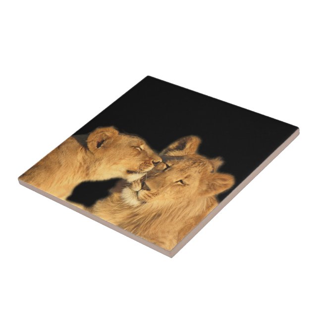 Lion Pair Tile (or make into keepsake box) (Side)