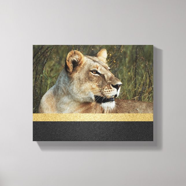 Lion panthera leo Okavango Delta Botswana Canvas Print (Front)