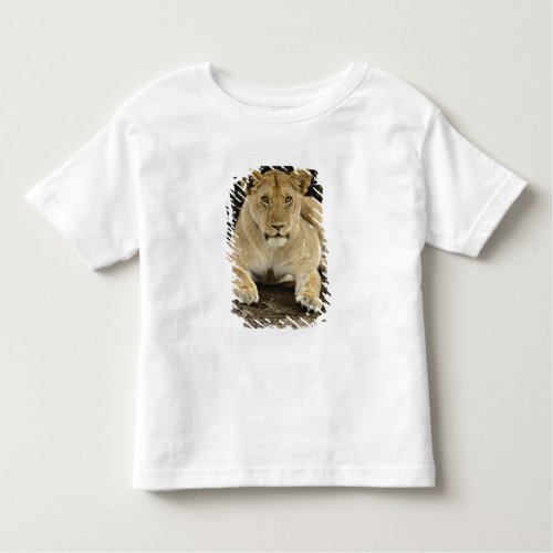 Lion Panthera leo Serengeti National Park Toddler T_shirt