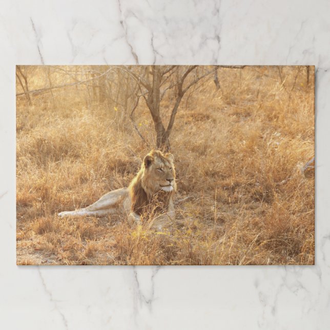 Lion  paper pad (Front)