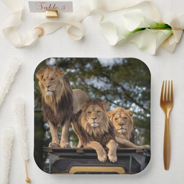 Lion Paper Plates (Wedding)