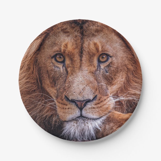 Lion Paper Plates (Front)
