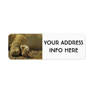 LION PAWS LABEL