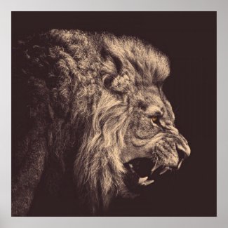 lion pencil art lion roar black and white poster