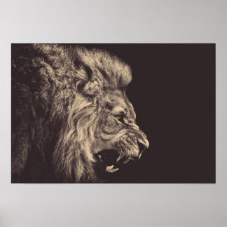 lion pencil art lion roar black and white poster