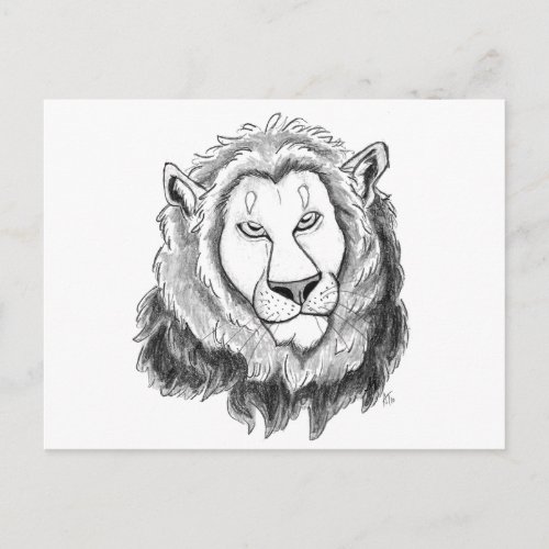 Lion Pencil Sketch Art Postcard