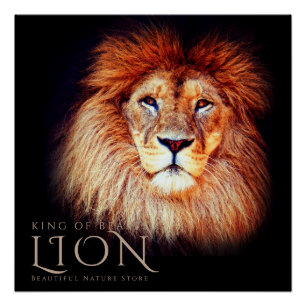 Lion [Perfect Poster] Poster
