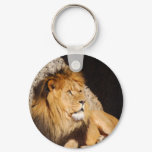 Lion Photo Keychain