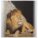 Lion Photo Set of Four Napkins