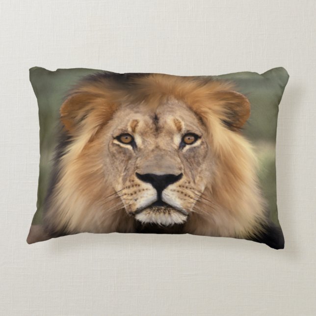 Lion Photograph Decorative Pillow (Back)