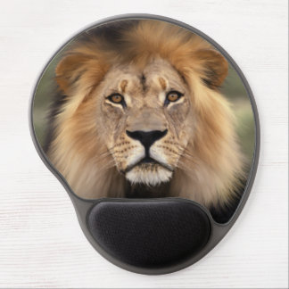 Lion Photograph Gel Mouse Pad