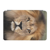 Lion Photograph iPad Mini Cover (Horizontal)