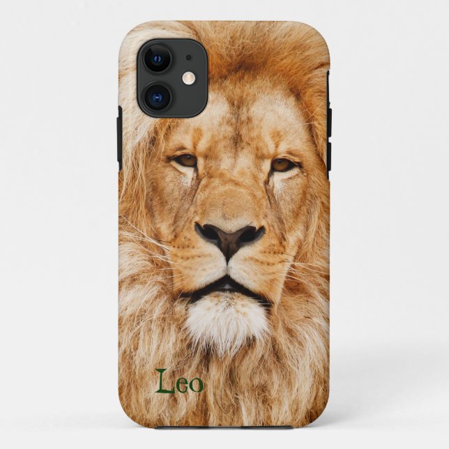 Lion Photograph iPhone 5 Phone Case (Back)