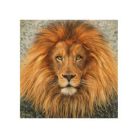 Lion Photograph Paint Art image