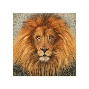 Lion Photograph Paint Art image