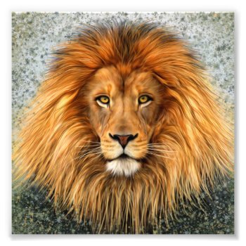 Lion Photograph Paint Art Image by ironydesignphotos at Zazzle