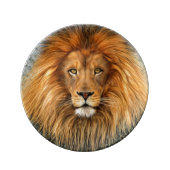 Lion Photograph Paint Art image Plate (Front)