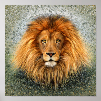 Lion Photograph Paint Art image Poster
