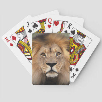 Lion Photograph Poker Cards