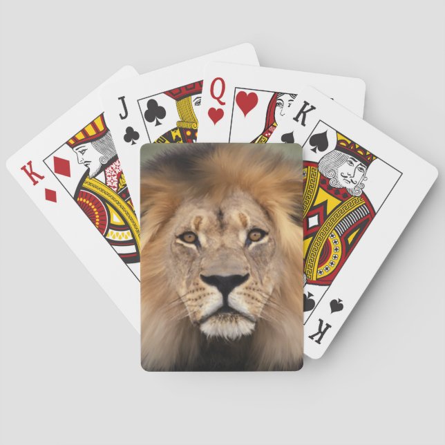 Lion Photograph Poker Cards (Back)