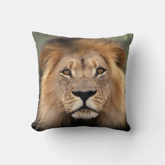 Lion Photograph Throw Pillow (Front)