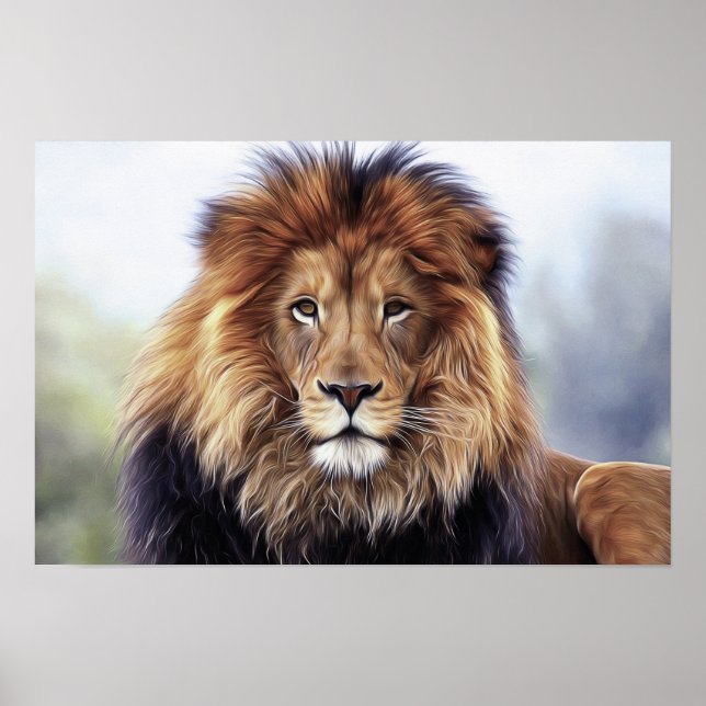 LION PHOTOGRAPHY POSTER (Front)