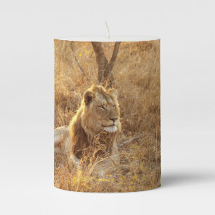 Lion Pillar Candle