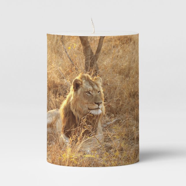 Lion Pillar Candle (Front)
