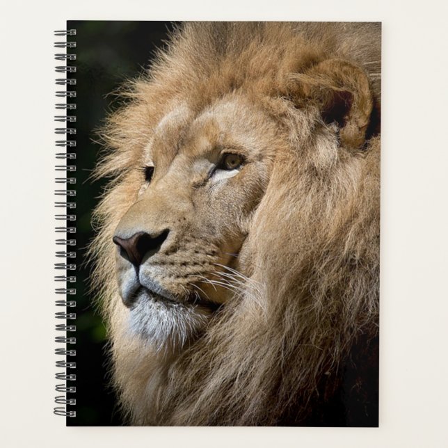 Lion Planner (Front)