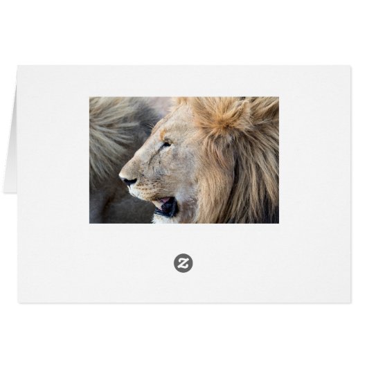 Lion Portrait (Back Horizontal)
